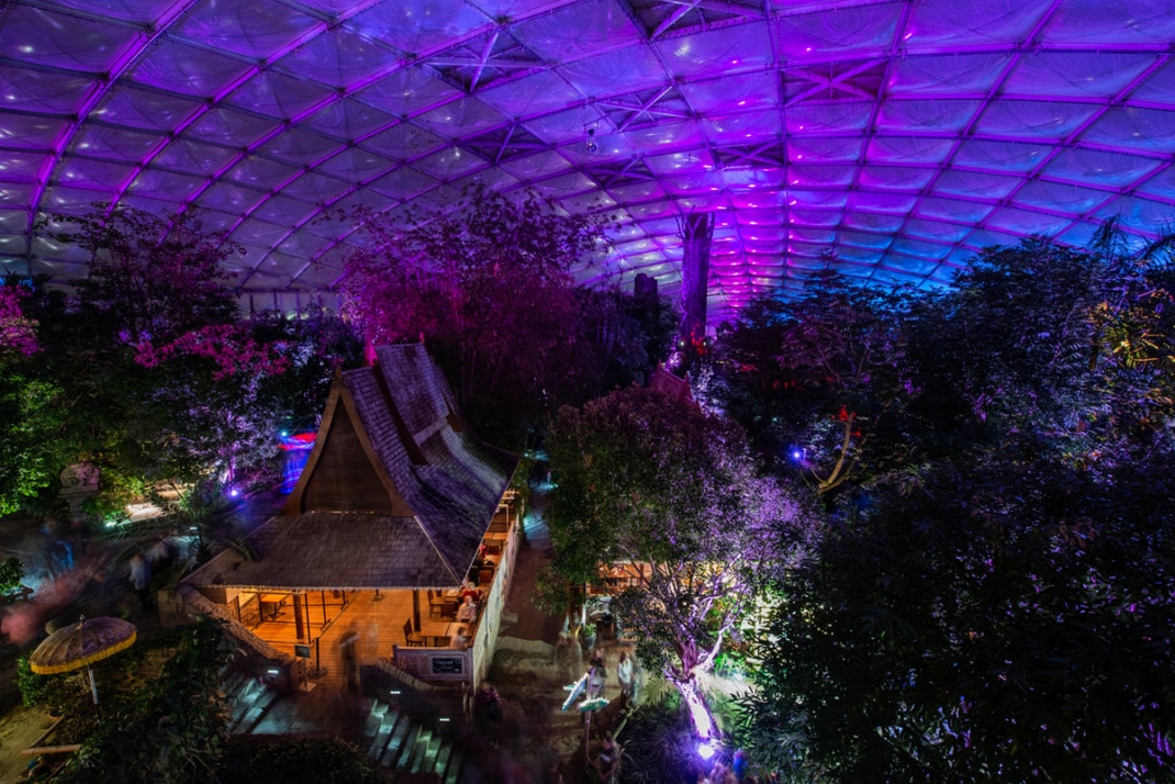 Szenische Lichtspiele beim Magischen Tropenleuchten in der Tropenhalle im Leipziger Zoo