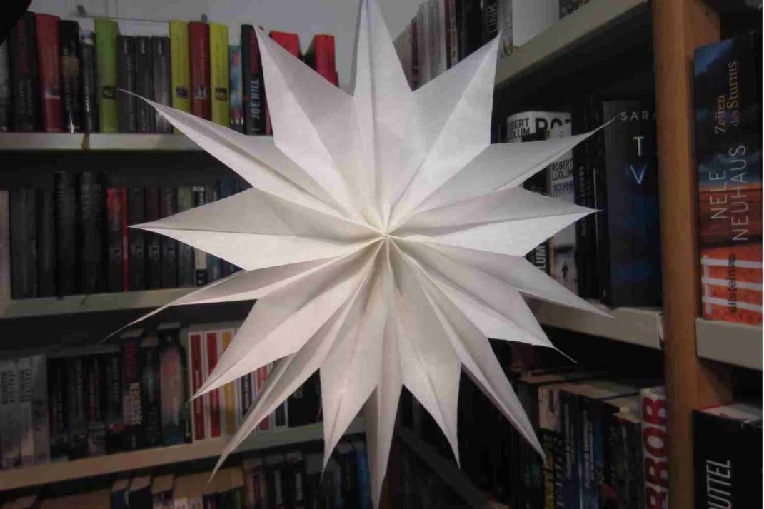 Ein weißer Weihnachtsstern vor einem Bücherregal