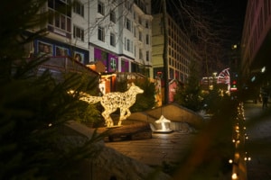 Ein aus Lichterketten geformter Wolf steht zwischen grünen Tannenbäumen auf dem Leipziger Weihnachtsmarkt.