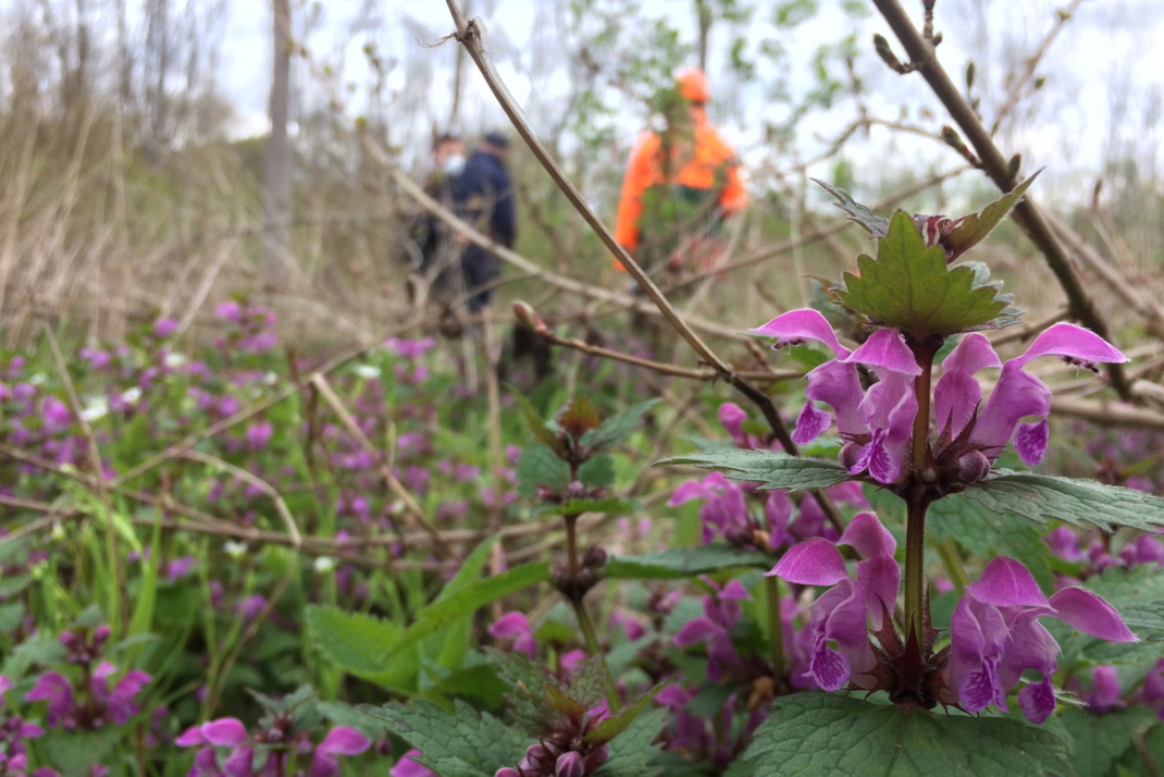 Im Leipziger Auwald. Foto: Sabine Eicker