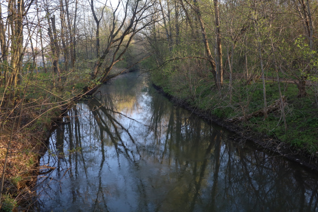 Der Elstermühlgraben am Klärwerk im Rosental.