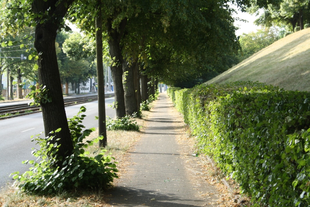 Der schmale Weg am Völkerschlachtdenkmal, den sich Fußgänger und Radfahrer bis jetzt teilen sollen. Foto: Ralf Julke