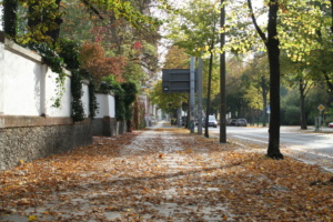 Fußweg in der Arno-Nitzsche-Straße. Foto: Ralf Julke