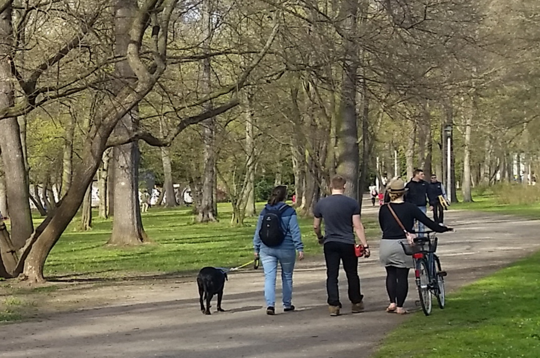 Spaziergang mit Hund im Clara-Zetkin-Park. Foto: Marko Hofmann