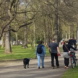 Spaziergang mit Hund im Clara-Zetkin-Park. Foto: Marko Hofmann