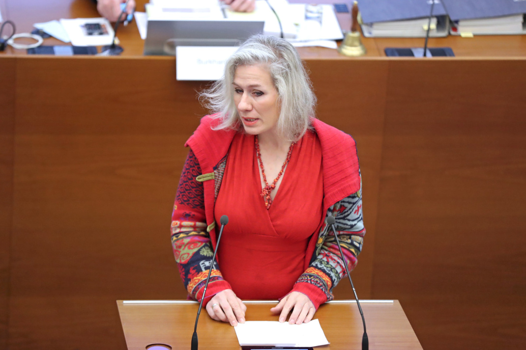 Katharina Krefft in ihrer Rede zu Klimaschutzsatelliten im Schul- und im Gesundheitsamt.