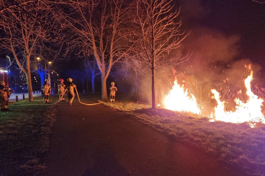Feuerwehr löscht einen Brand auf einer Grünfäche