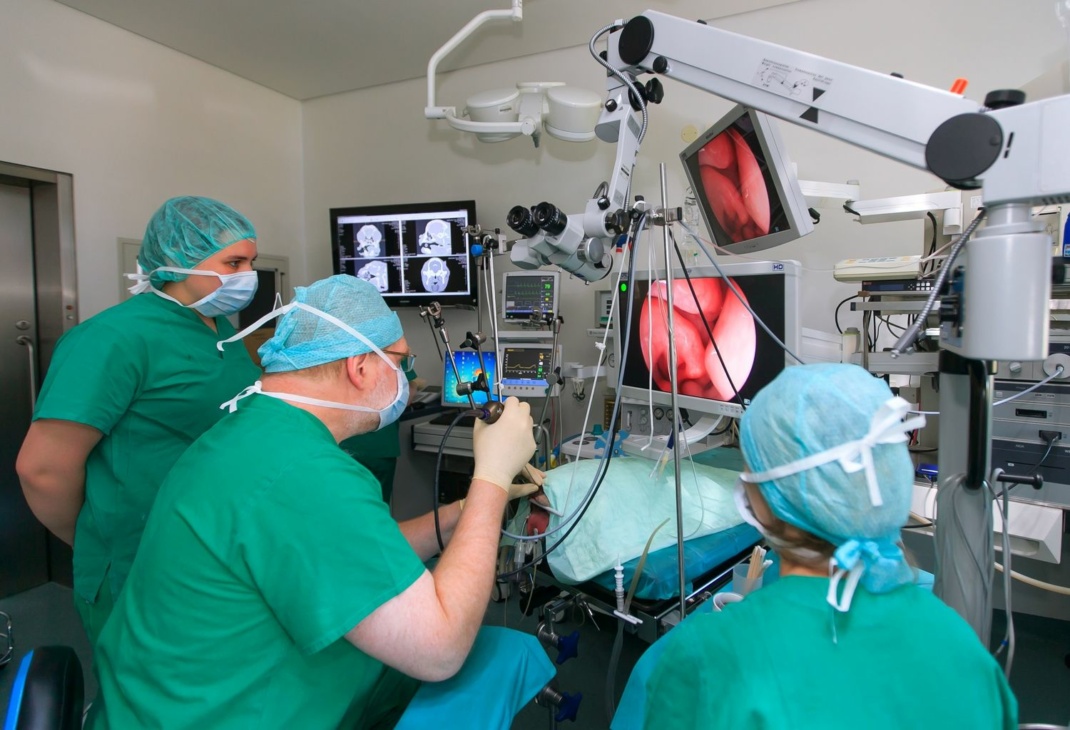 Klinik für Kleintiere: Direktor Prof. Dr. Gerhard Oechtering im Jahr 2016 bei der Operation einer Französischen Bulldogge. Foto: Swen Reichhold