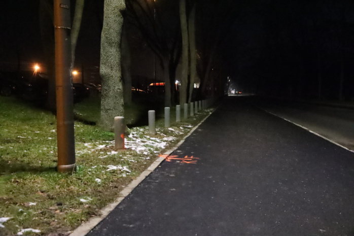 Neue Poller verhindern am am Cottaweg das illegale Parken auf den Grünstreifen. Foto: LZ