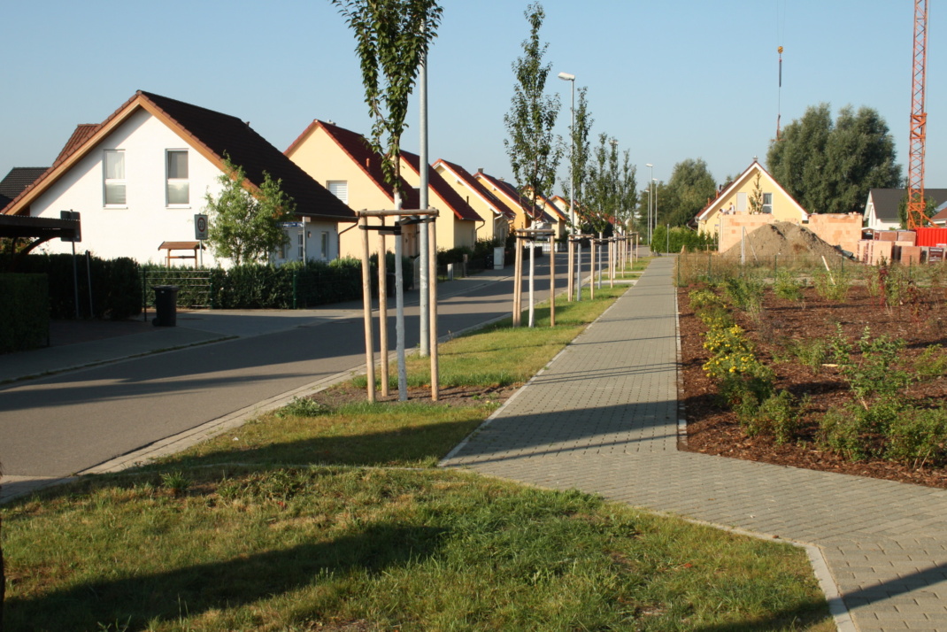 Eine Straße mit Einfamilienhäusern.