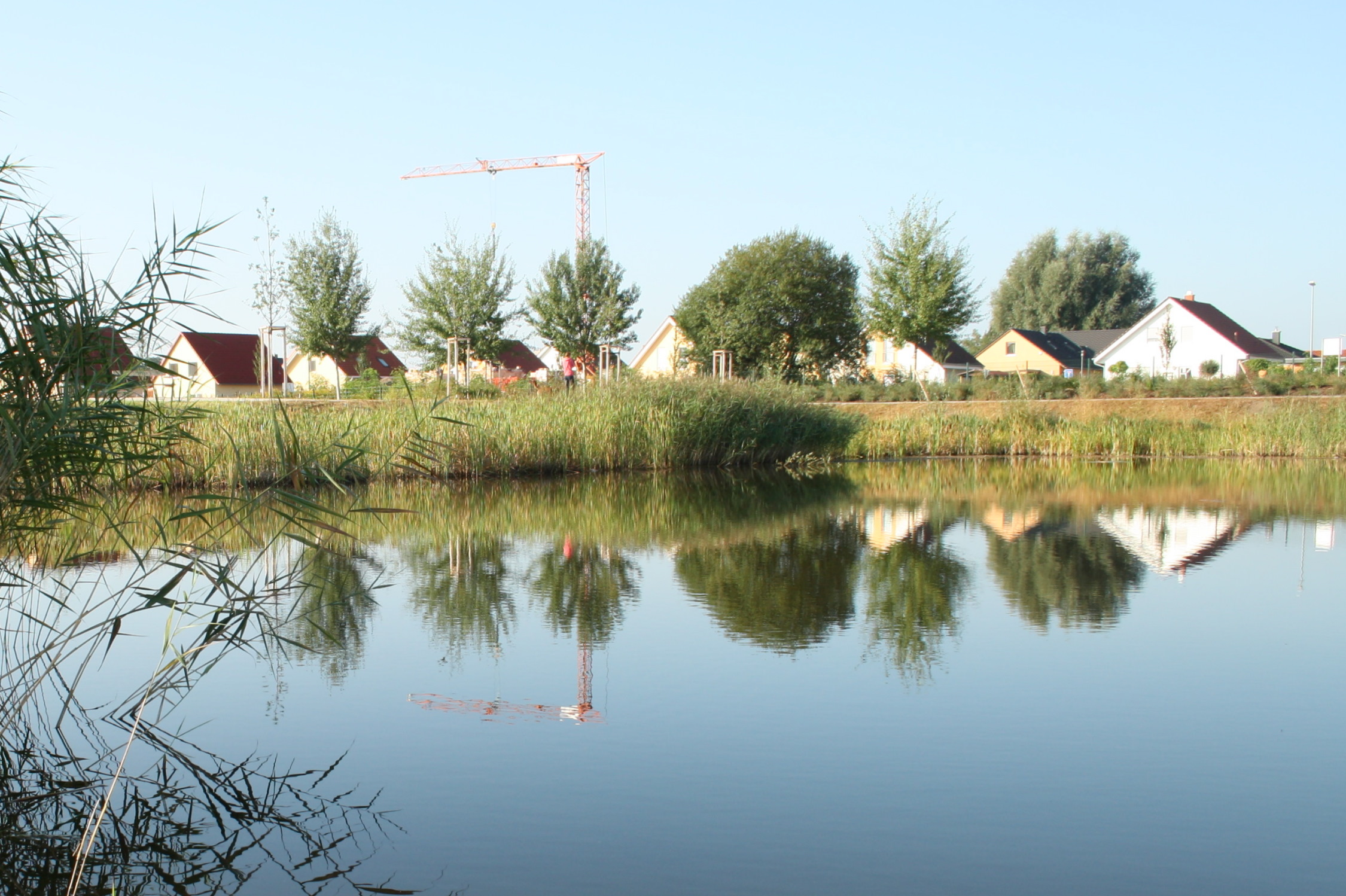 Der Stadtrat tagte: Eine hitzige Diskussion um Erbbaupacht oder Kauf bei Eigenheimgrundstücken in Leipzig