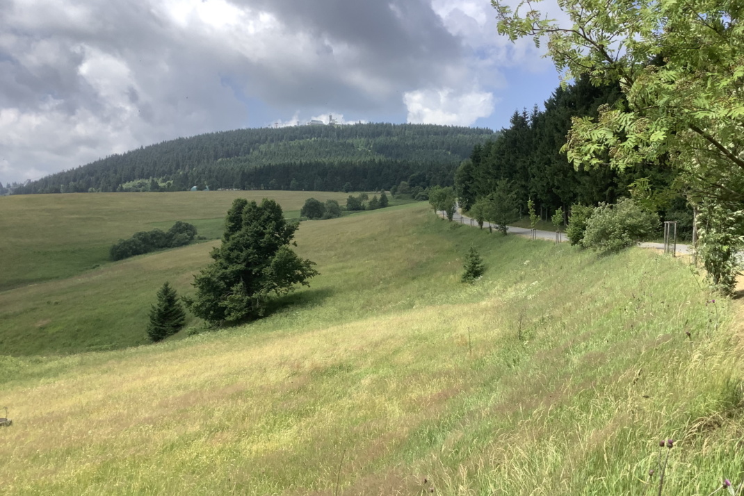 Hügelige Wiesenlandschaft, Oberwiesenthal.