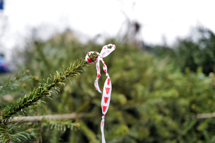 Detailaufnahme eines abgelegten Weihnachtsbaumes in Leipzig-Schleußig, zu sehen ist ein Stück Geschenkband an einem Ast