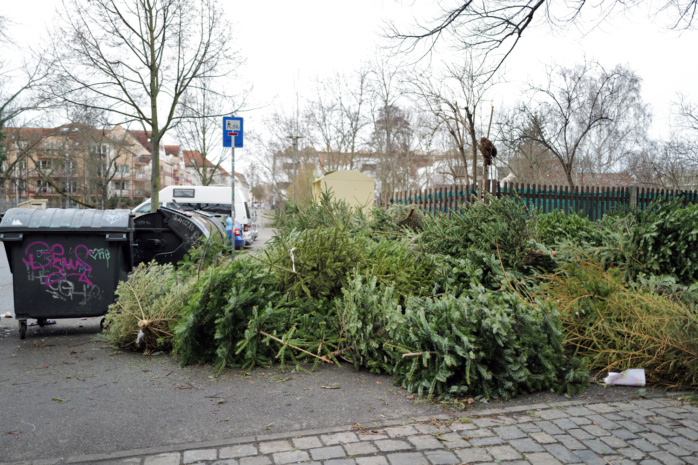 illegaler Ablageplatz für Weihnachtsbäume am Limburger Steg (Entenbrücke) in Leipzig-Schleußig