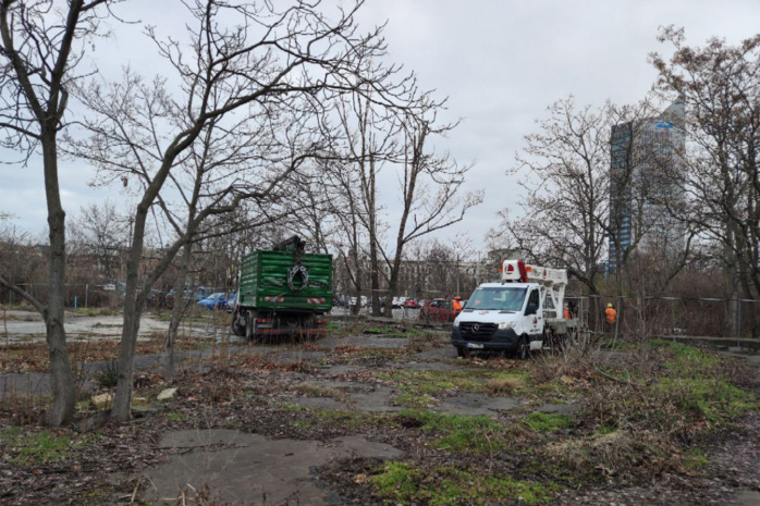 Autos und Baumfäll-Gerätschaften auf Wiese