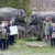 Zwei Elefantenmütter mit ihren Babys im Zoo, davor die Gäste der Namensverleihung
