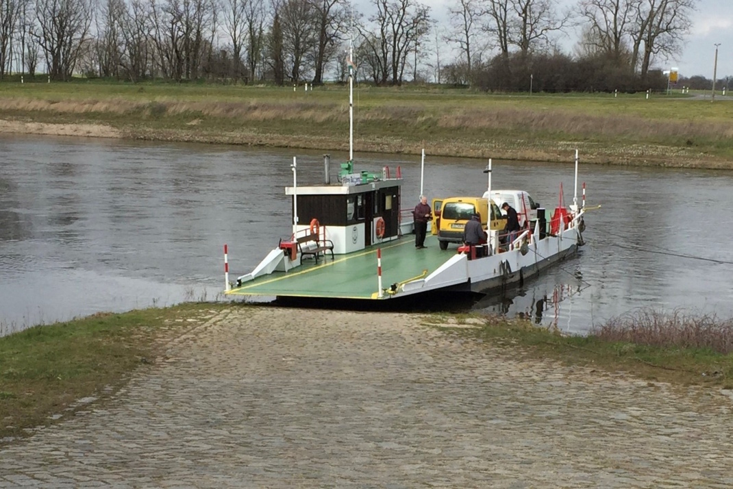 Die Elbfähre Belgern.