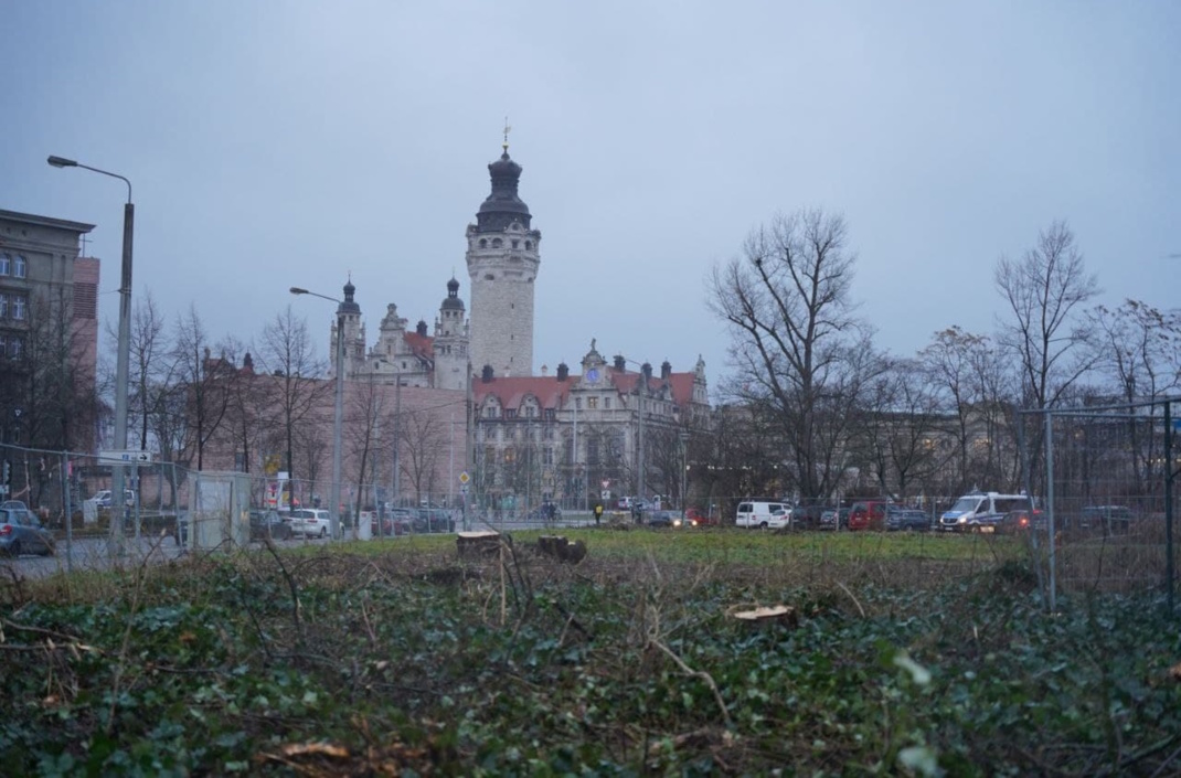 Blick auf Fläche von der Windmühlenstraße aus.