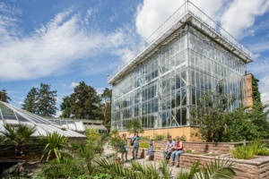 Das Tropenhaus im Botanischen Garten. Foto: Uni Halle / Matthias Ritzmann