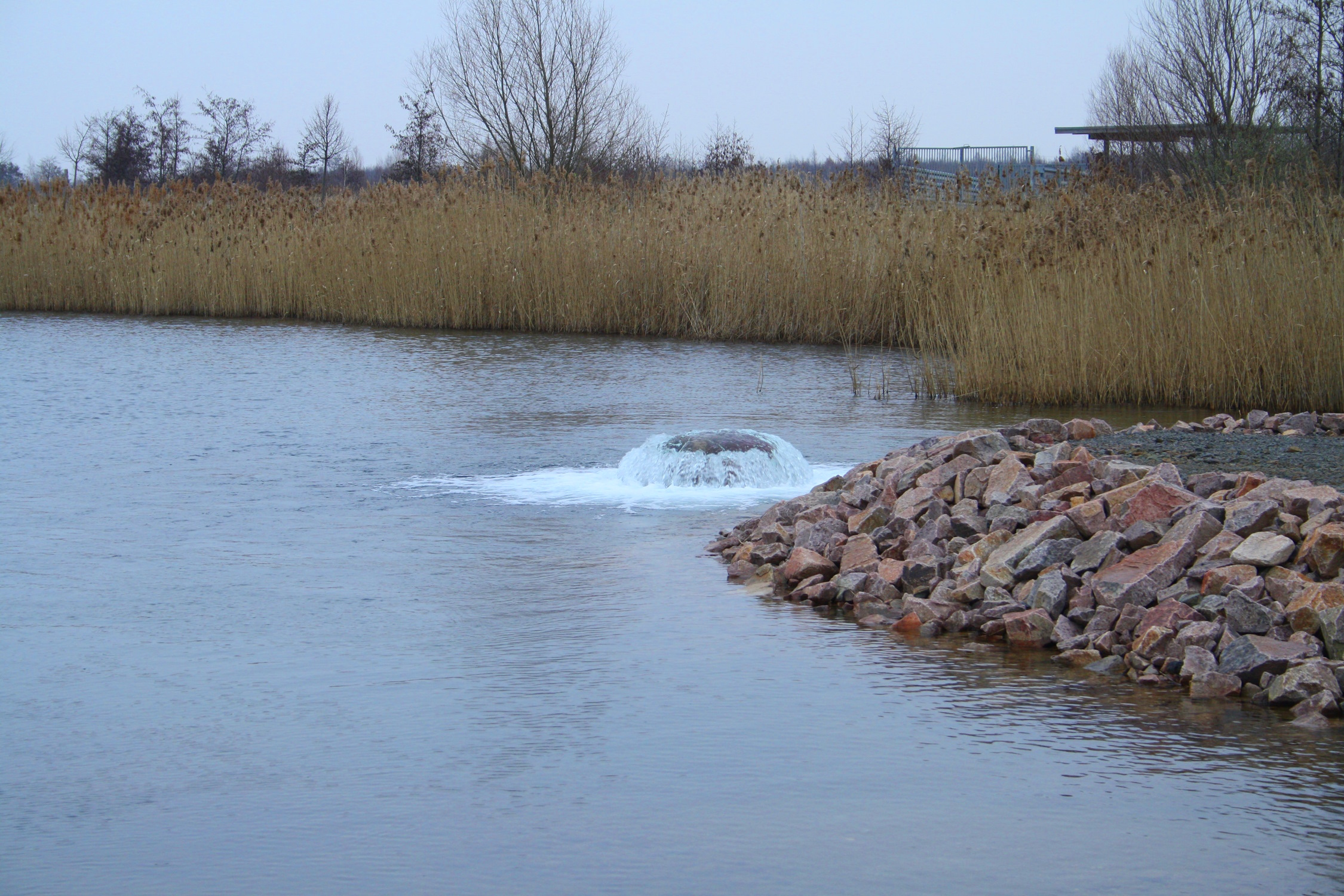 Hier sprudelt das Wasser aus dem Zwenkauer See aus einer Heberleitung in den Cospudener See. Foto: Ralf Julke