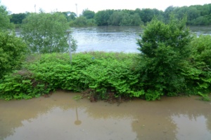 Elsterhochwasser im Jahr 2013.