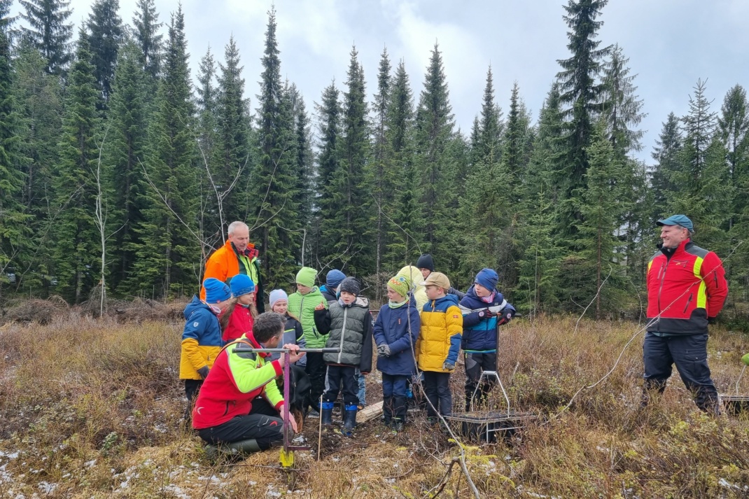 Schülerinnen und Schüler der Grundschule Johanngeorgenstadt pflanzen zusammen mit Landesforstpräsident Utz Hempfling Moorbirken © Marco Horn, Sachsenforst
