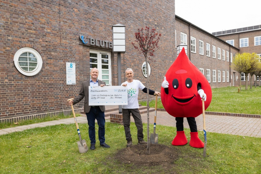Weitere 2.010 Euro überreichte Prof. Reinhard Henschler, Direktor der UKL-Blutbank (links), an Thomas Gärtner von LEIPZIG pflanzt. Die frisch gepflanzte Blutpflaume ist ein Dankeschön für die UKL-Blutspender/-innen. Foto: Stefan Straube/UKL