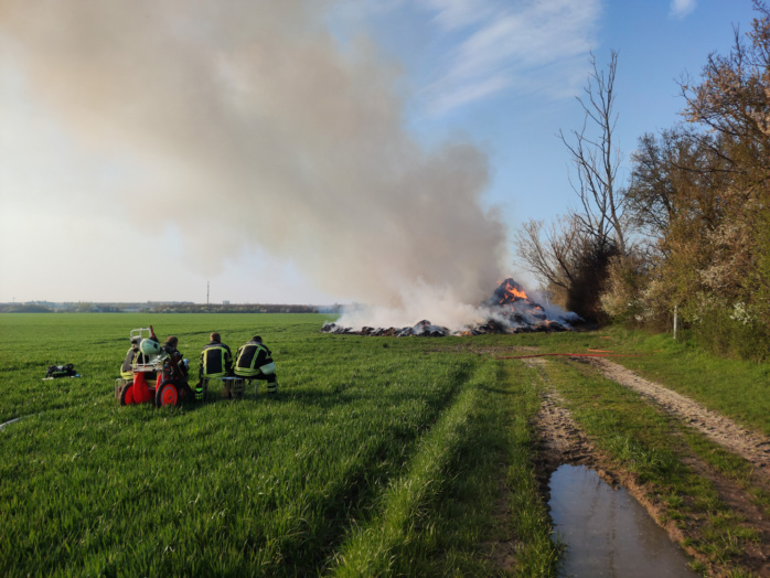 Brandbekämpfung durch Abbrennenlassen, am 9. April 2023 bei Leipzig. Foto: LZ