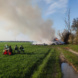Brandbekämpfung durch Abbrennenlassen, am 9. April 2023 bei Leipzig. Foto: LZ