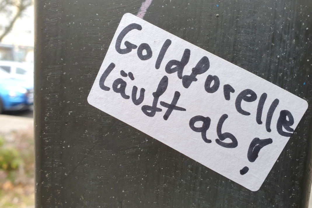 Aufkleber mit der Aufschrift: Goldforelle läuft ab! Foto: Jan Kaefer