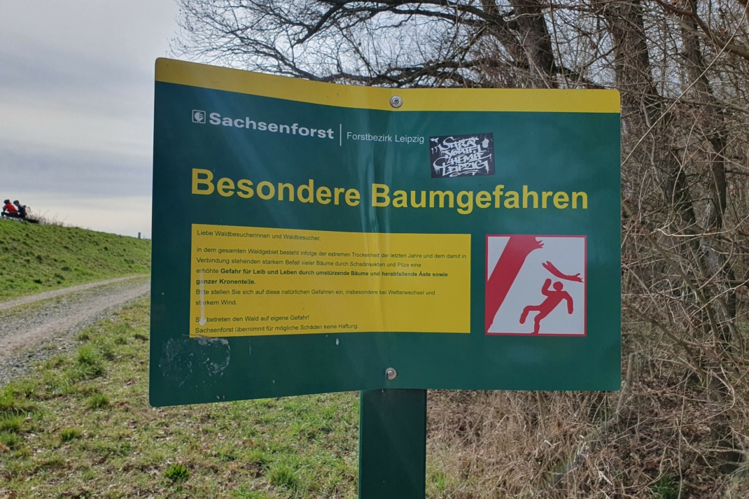 Hinweisschild des Sachsenforst auf Baumgefahren Foto: Kathleen Burkhardt-Medicke