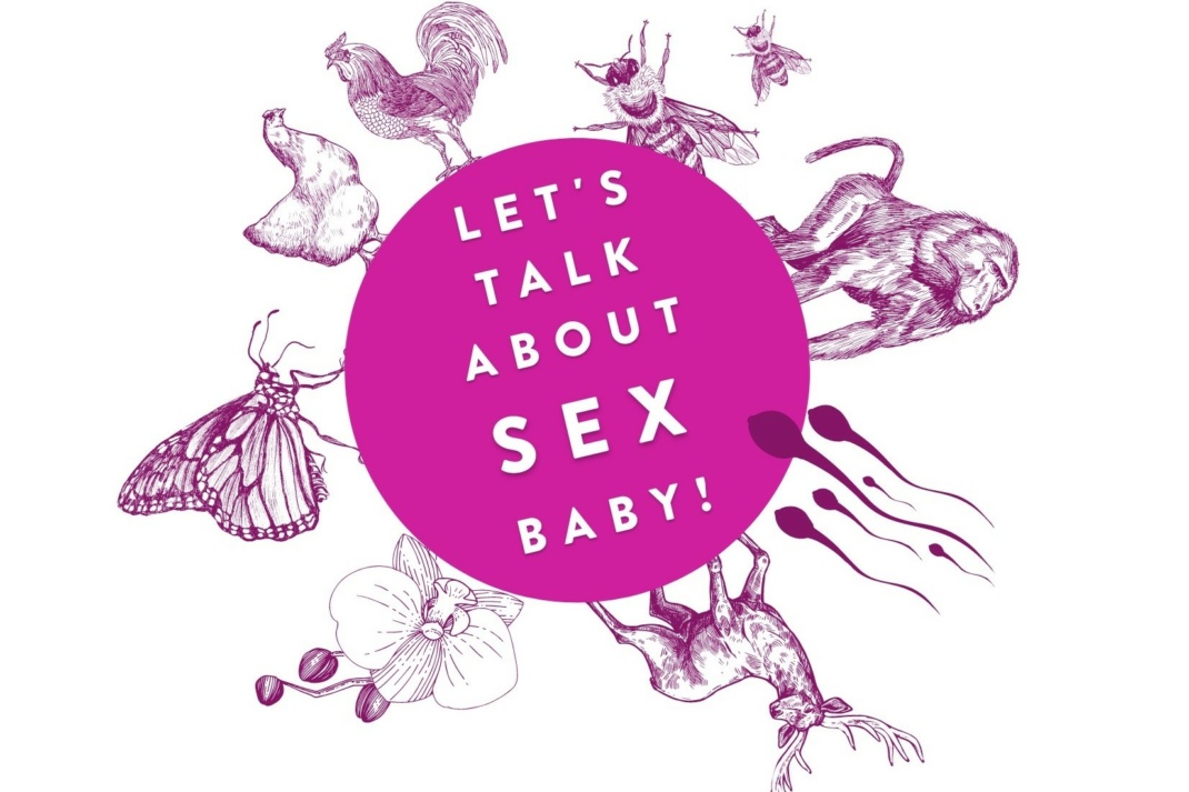 Let's talk about sex, baby. Quelle: Naturkundemuseum Leipzig