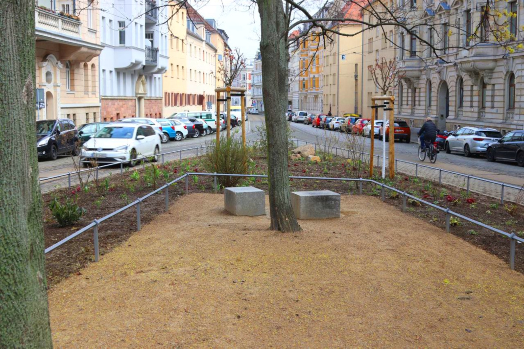 Blick vom neu gestalteten Gohliser Anger in die Menckestraße. Foto: Sabine Eicker
