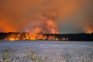 Waldbrand auf dem Gebiet der Gemeinde Arzberg, Ortslage Kötten, am 25. Juli 2022. Foto: LRA Nordsachsen
