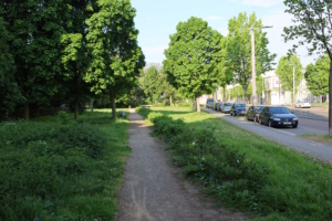 Grünfläche an der Südseite Kuhturmstraße.