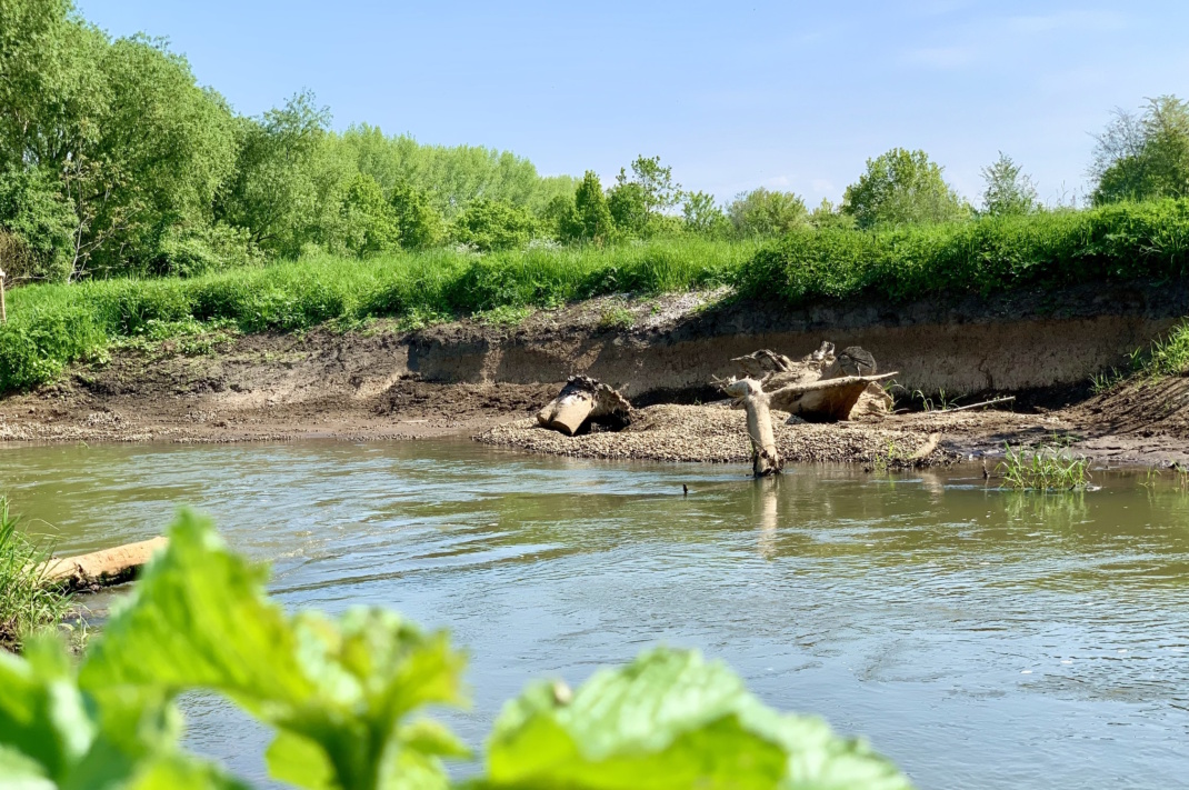 Renaturierter Abschnitt der Pleiße bei Böhlen. Foto: Freistaat Sachsen, SMEKUL / Robert Schimke
