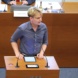 Oskar Teufert vom Jugendparlament Leipzig spricht im Stadtrat. Foto: Jan Kaefer