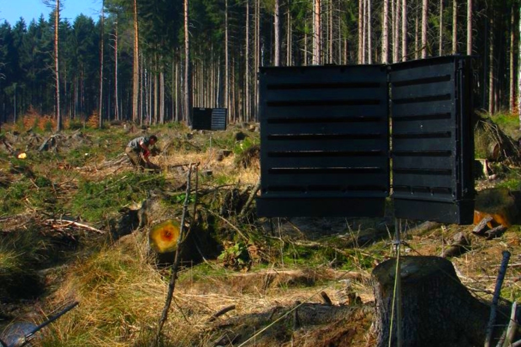 Fallen für Borkenkäfer im Wald.