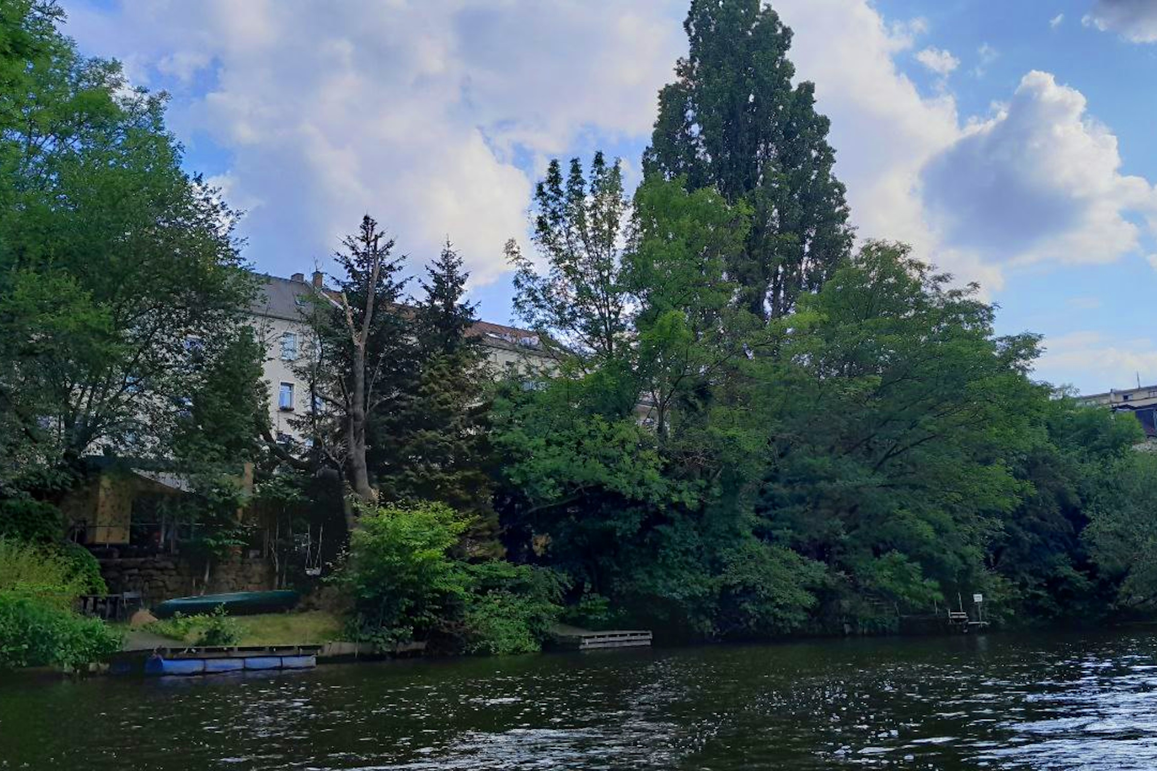 Das noch dicht bewachsene Wassergrundstück hinterf derf Holbeinstraße 6. Foto: Marko Hofmann
