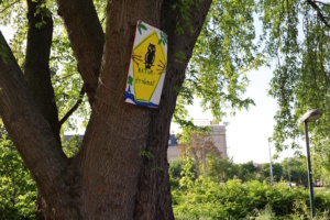 Protest am Baum gegen Abholzung.