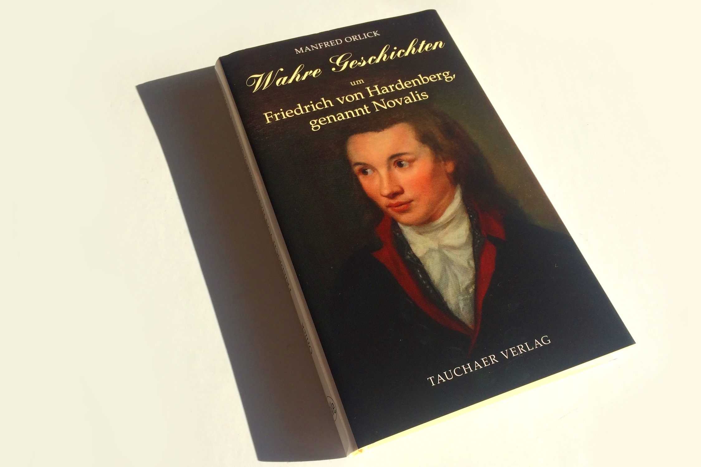 Discovering the Land of the Blue Flower A Guide to Novalis' Central