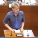 Oskar Teufert spricht im Stadtrat