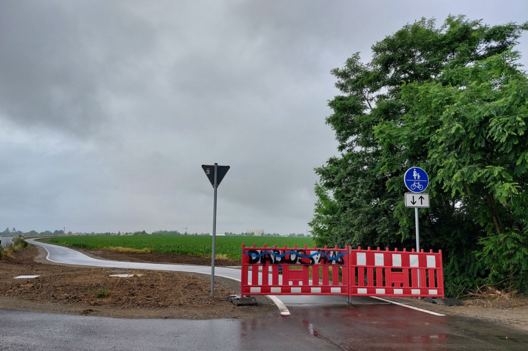 Absperrung, Verkehrsschild und Bäume vor grauem Himmel.