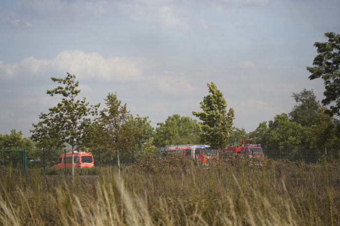Mehrere Sparten eines Schrebergartenvereins in Grünau-Siedlung in Leipzig haben am 13. Juli 2023 gebrannt.