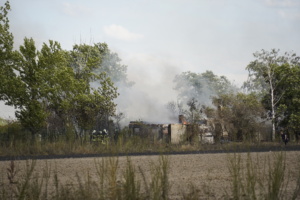 Bei einem Brand in Leipzig-Grünau wurden am Donnerstag, 13. Juli 2023, mehrere Kleingärten zerstört. Foto: Tom Richter