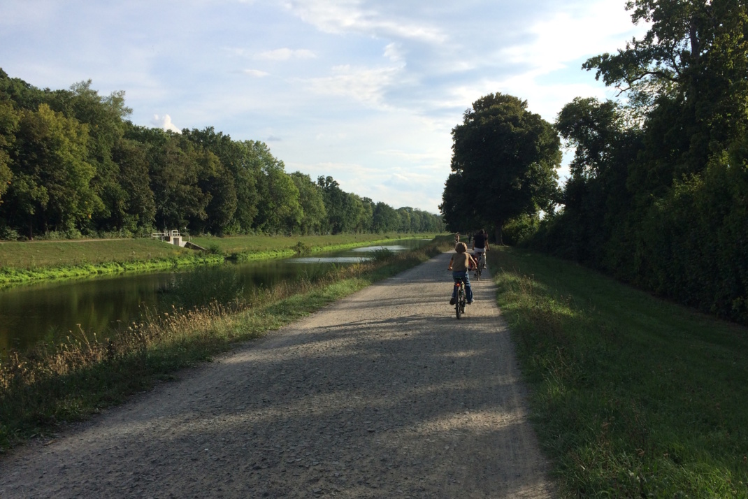 Radweg auf dem Deich am Elsterflutbett.