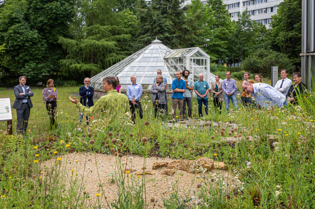 Zu sehen ist ein „Gründach auf Augenhöhe“ im Botanischen Garten Leipzig.