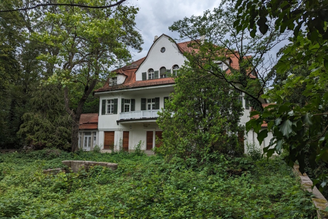 Haus 5 im Robert-Koch-Park wird von Brombeeren überwuchert. Foto: Yaro Allisat