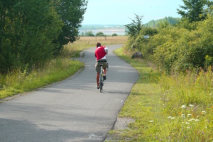 Radfahrer auf Radweg in der Landschaft.