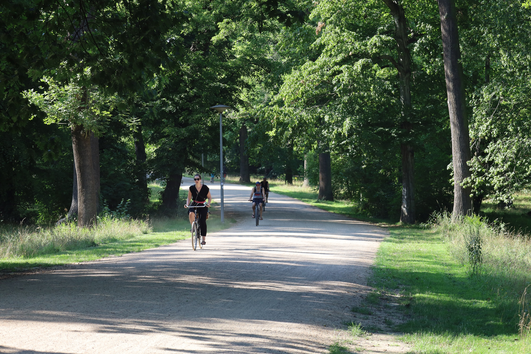 Auch hier kommen noch Absperrungen: Radweg im Klingerhain. Foto: Ralf Julke